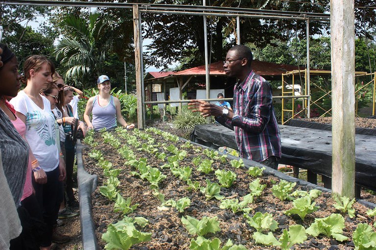 Agricultural Biorenewable Systems Management  major comes with exciting study abroad and foreign travel opportunities.