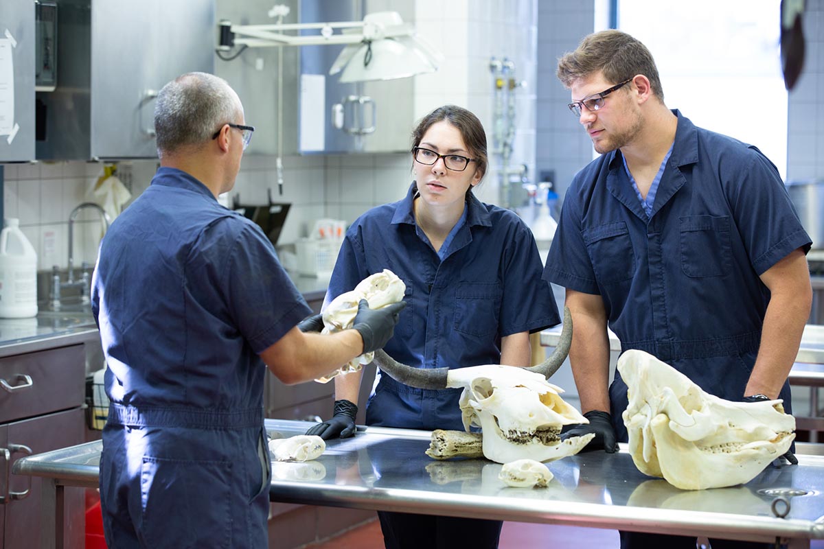 Penn State students work in the lab.