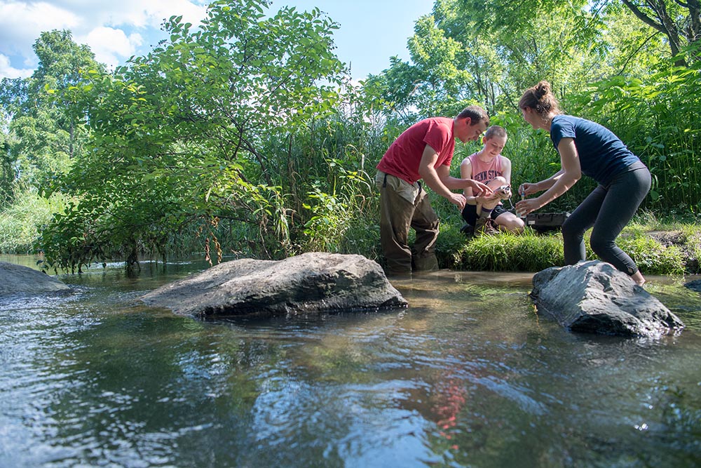 As a wildlife and fisheries major, you’ll get to research fish in their natural habitat.