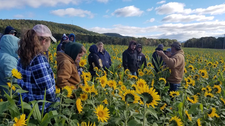 Penn State Agronomy students and professor in a field of sunflowers.