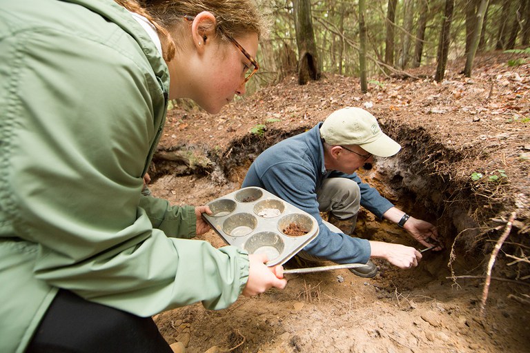 Student and professor collecting pine forest soil samples.