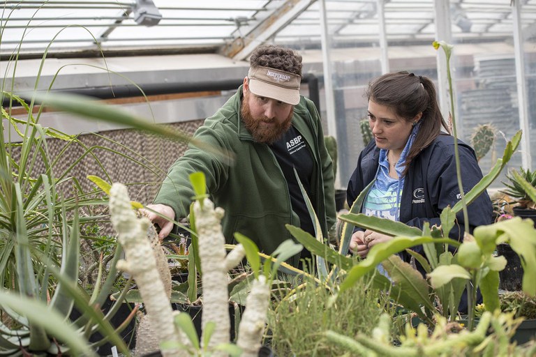 Penn State horticulture experts examining potted plants.
