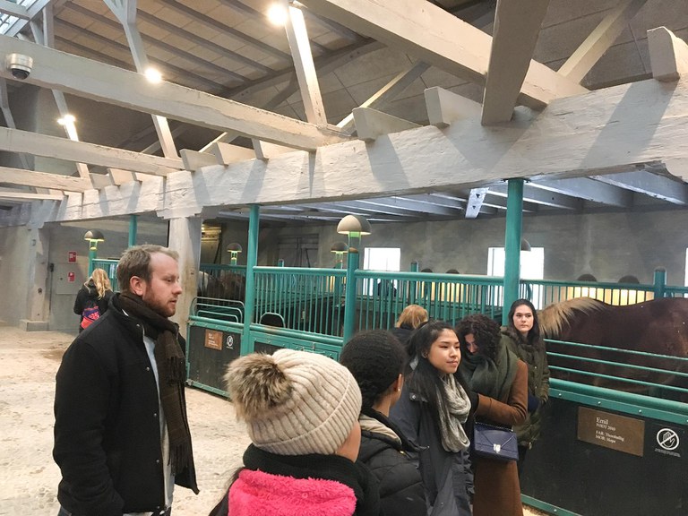 A group of Penn State INTAG students in front of horse stalls.