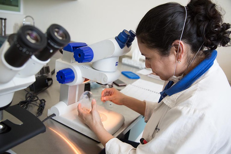 A Penn State student works in the lab.