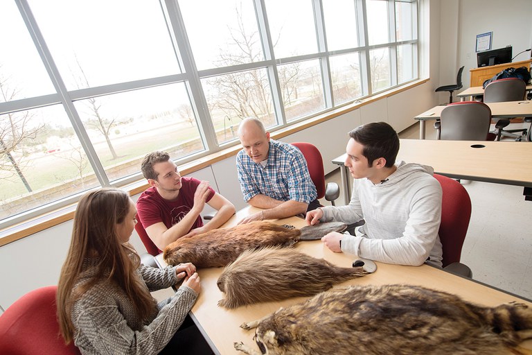 Studying the differences between racoons, beavers and other semiaquatic rodents at Penn State.