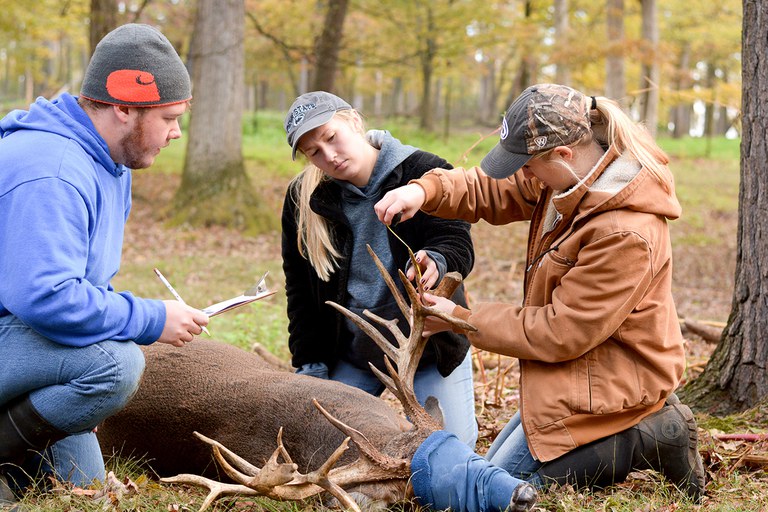 Students examining a deer's antlers in the field.