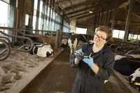 Academics and Scholarships in the College of Ag Sciences