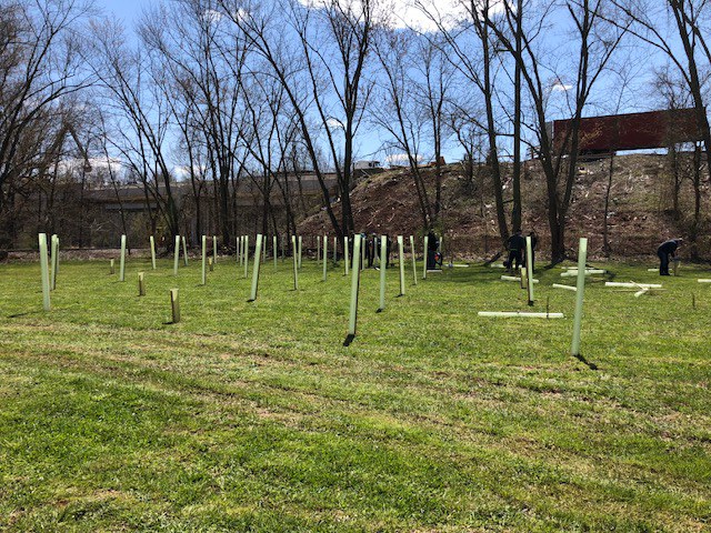 Trees planted along Dellinger Run.