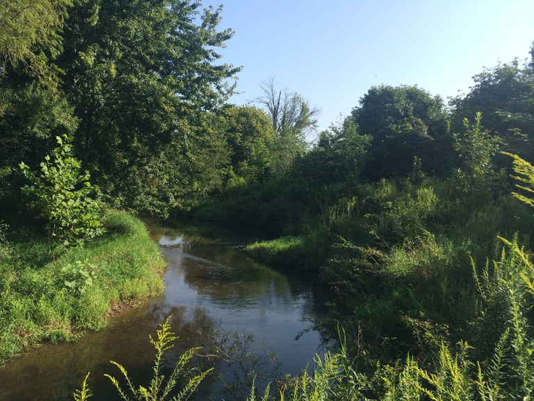 Hershey Meadow Stream Restoration