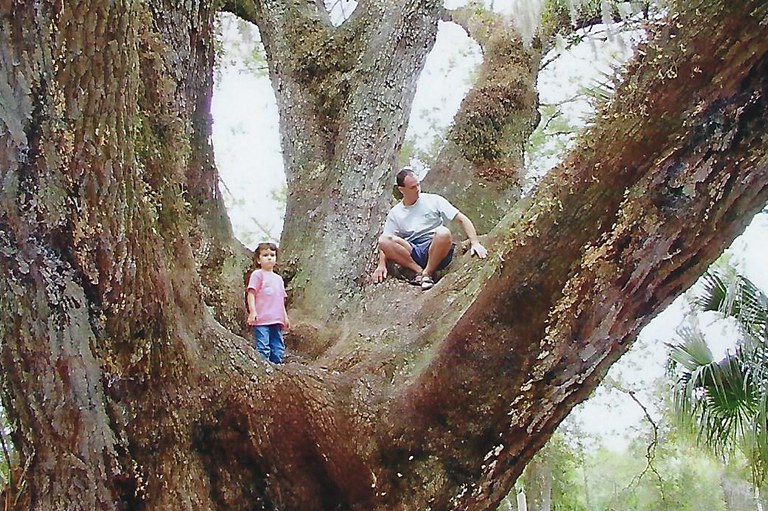 Emma in tree with dad