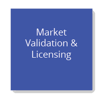 Market Validation & Licensing