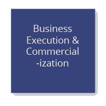Business Execution & Commercialization