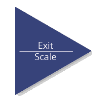 Exit or Scale