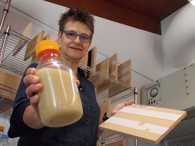 Dr. Nina Jenkins, an entomologist and expert on safe pest-control methods, discovered that a formulation made from fungal spores effectively kills bedbugs. (Photo by Lisa Duchene)