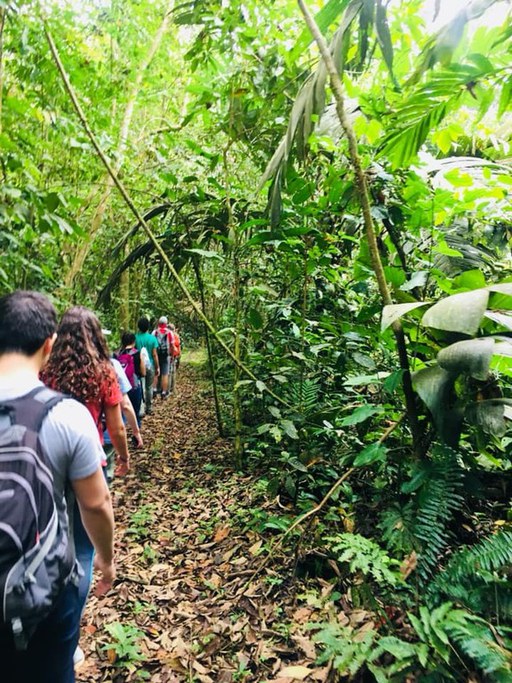 ERM students hiking in Costa Rica
