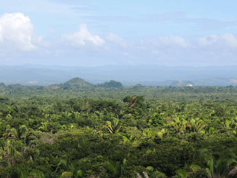 Belize Landscape