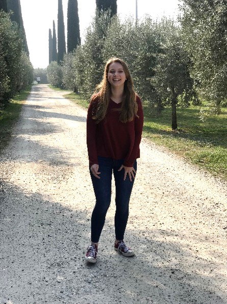 In an Olive Grove in Verona