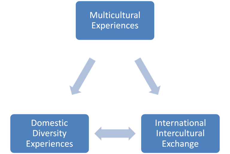 Multicultural Diagram
