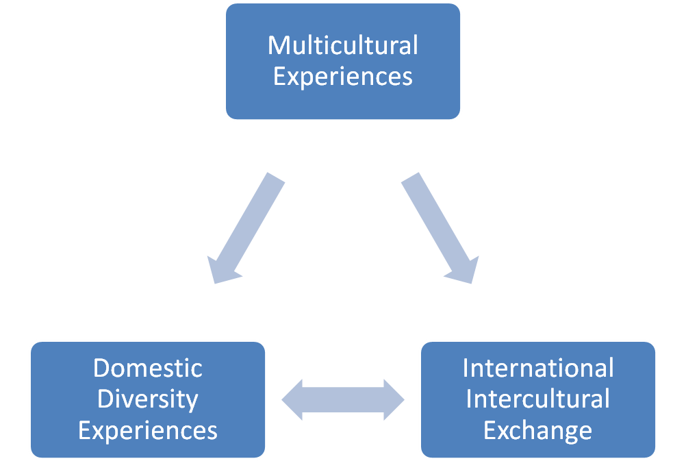 Multicultural Diagram
