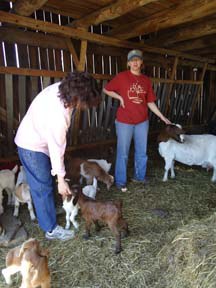 Beth and her goats