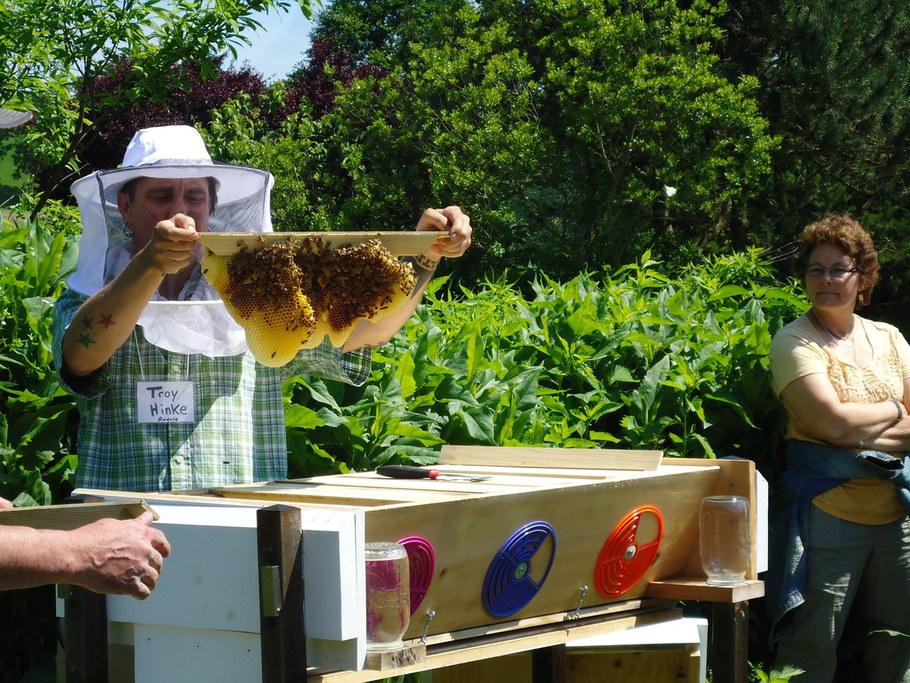 Honeybees at Rodale