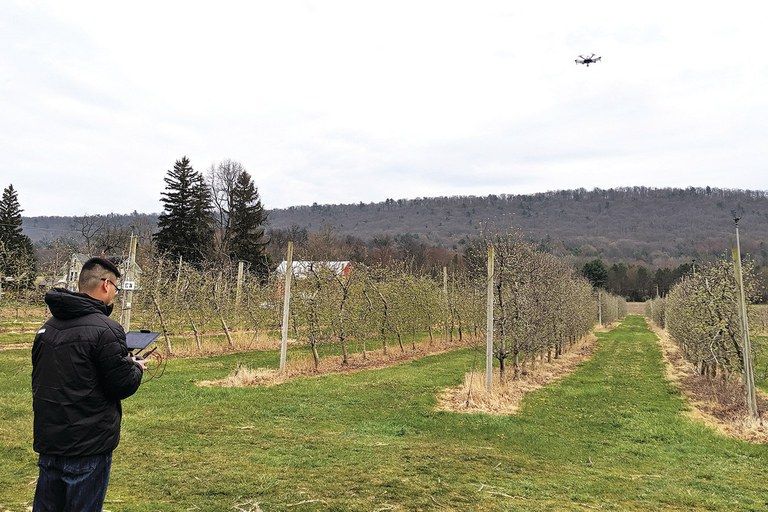 A researcher flies a drone over an apple orchard at Penn State's Russell E. Larson Agricultural Research Center. The drone was used to shoot a video of the demonstration of the over-current driven LED lights machine vision mechanism. Credit: Penn State