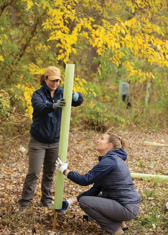 Jennifer Fetter, water resources team leader with Penn State Extension, kneeling, and Kristen Koch, program manager for the Penn State Agriculture and Environment Center, install a tree shelter on a newly planted seedling that is part of a riparian buffer restoration project.