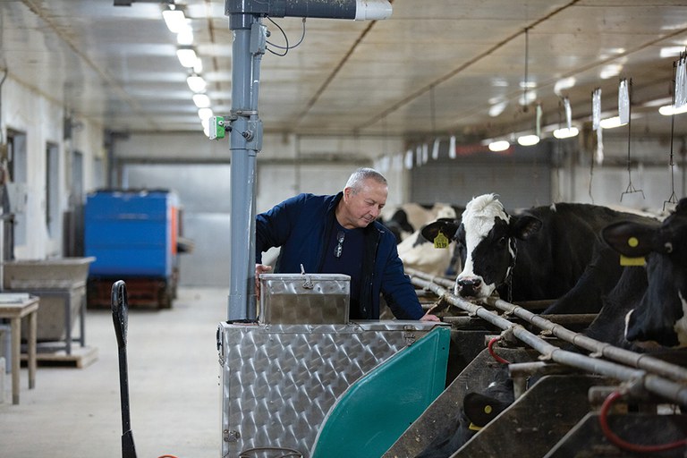 Alexander Hristov, distinguished professor of dairy nutrition, in a Penn State tie-stall barn logging data in a previous study. He played a key role in initiating the just-published, international, methane-from-livestock research. Photo: Michael Houtz