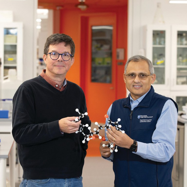 Robert Paulson, left, and Sandeep Prabhu with a model of the cyclopentenone prostaglandin, or CyPG, molecule, which initiates a process leading to the death of leukemia stem cells. Photo Credit: Michael Houtz