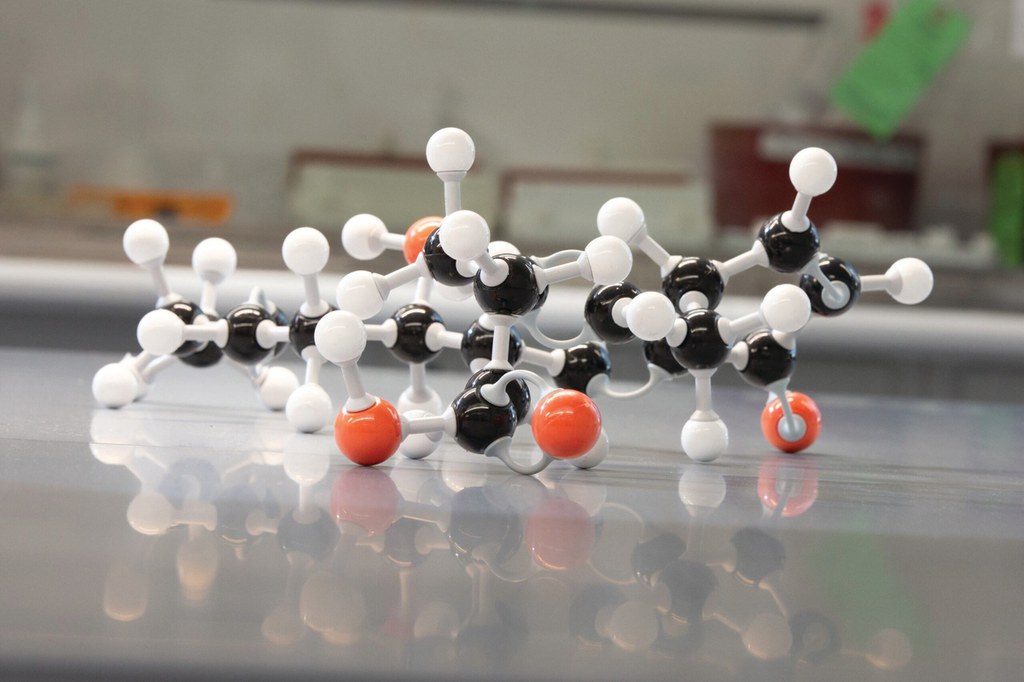 Cyclopentenone prostaglandin, or CyPG, molecule.  Photo: Michael Houtz