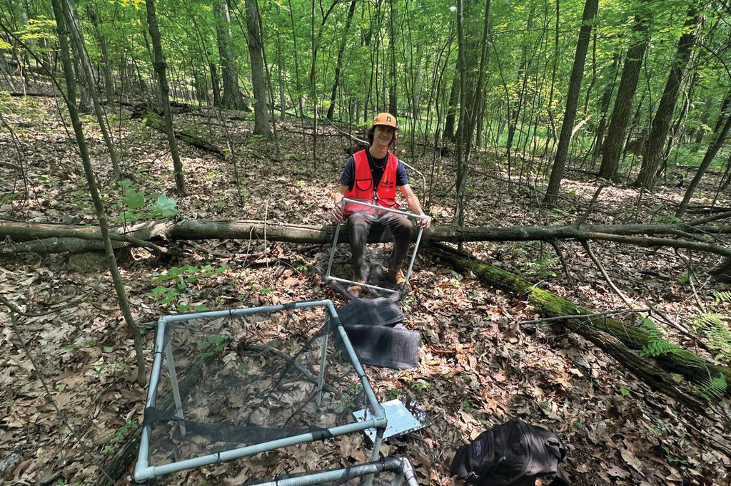Undergraduate Evan Hackett builds seed traps in Penn State's Stone Valley Experimental Forest.