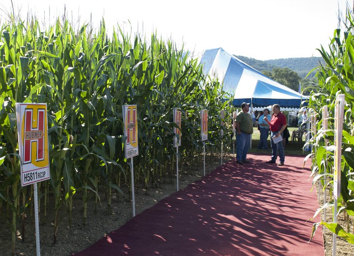 Visitors to Ag Progress Days were able to examine a variety of contemporary corn seed and  corn crops produced by Pennsylvania Corn Growers Association during the three day event held at Penn State's Russell E. Larson Agricultural Research Center at Rock Springs. Ag Progress Days features the latest technology and changing management practices in the agricultural industry and is attended by more than 40,000 people annually.  IMAGE: Patrick Mansell