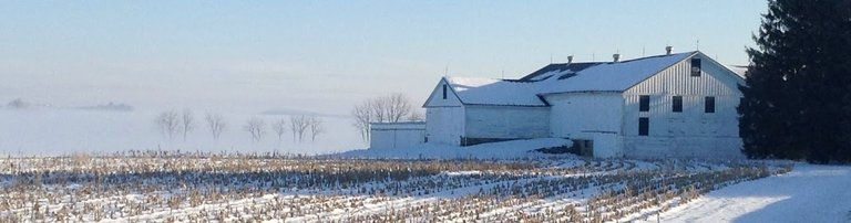 Foggy morning view of corn stubble and Kepler Barn, Russell Larsen Agricultural Research Farm at Penn State, Route 45 just east of the Pasto Agricultural Museum, January 2013.