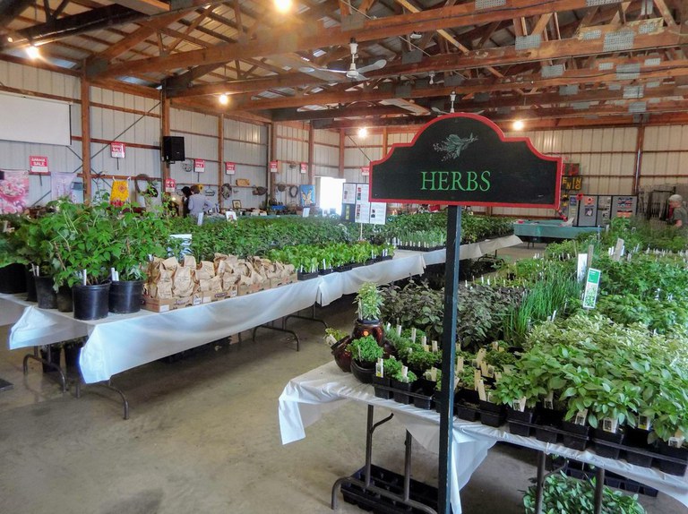 Herbs are among the many types of plants that will be available at the 2019 Penn State Extension Master Gardeners of Centre County annual plant sale. IMAGE: PENN STATE EXTENSION