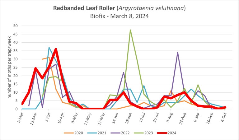 RBLR