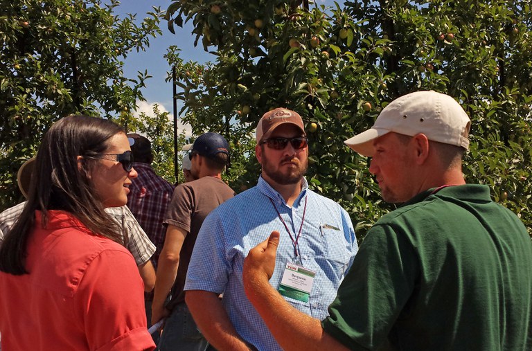 Discussing mechanization at a commercial orchard