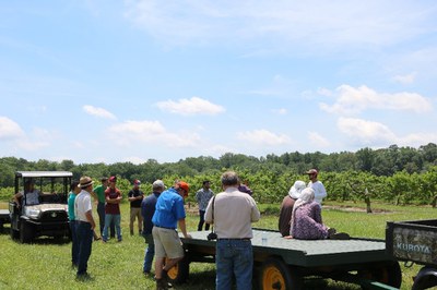 YGA members in the field visiting Bennett Orchards.