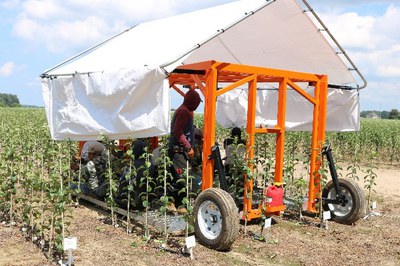 Mobile work platform with shade canopy