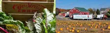 One Straw's operation has a large CSA component while Baugher's diversified into agritourism, a bakery and restaurant.