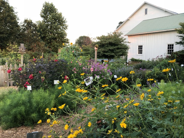 A glimpse of the native garden in the Idea Gardens at SEAREC