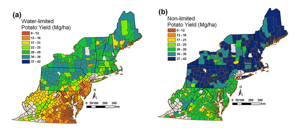 Average potato yield assuming (a) water-limited and (b) nonlimited conditions for each county in the Eastern Seaboard region.