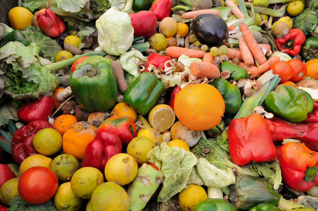 food waste research