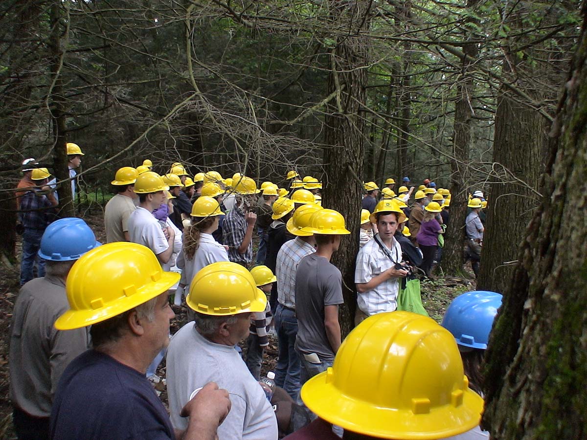 A nice crowd to view an in-woods demo at the 2013 Timber show.